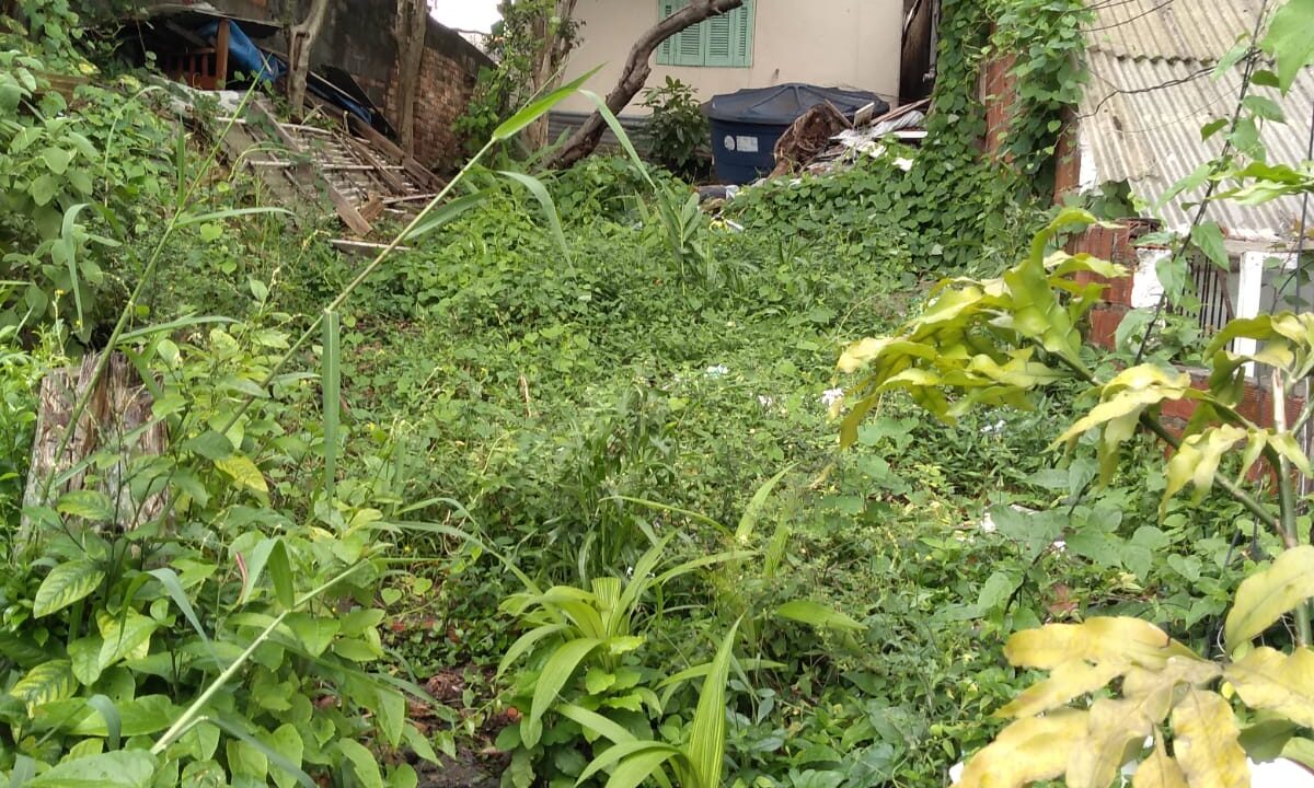 d3df4610-e367-4cde-acc8-7a08aa9f98c8