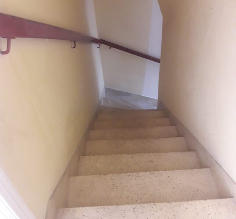 36db0ed3-b95a-44b5-bbf5-0b5da0ad6f3e