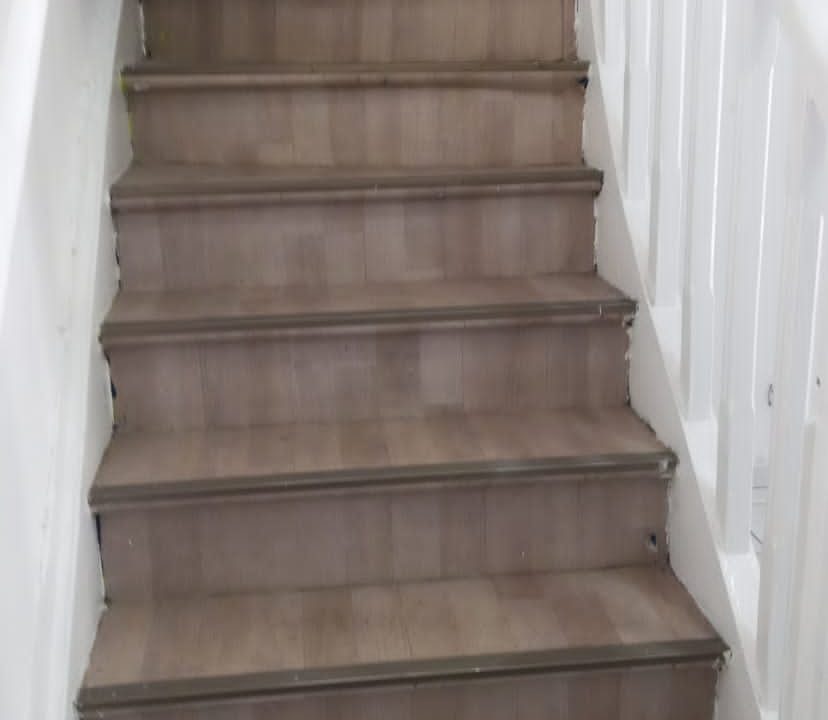 d4b20ed8-704b-4075-bd3c-bebc3ee13560