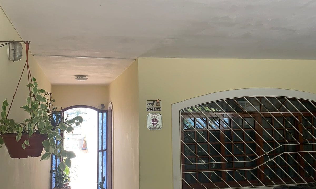 f31d44d5-5c08-4fba-ae8c-f26ec22c1SSSb91