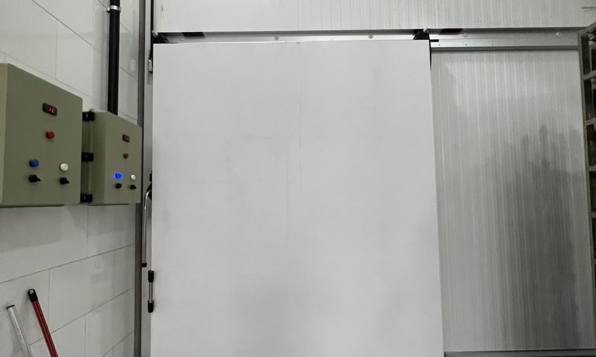 Imagem do WhatsApp de 2024-07-30 à(s) 13.26.40_82d08f75