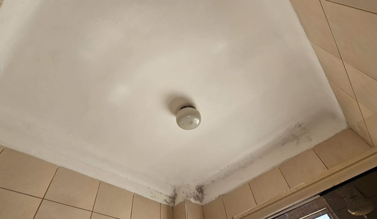 IMG-20250308-WA0014