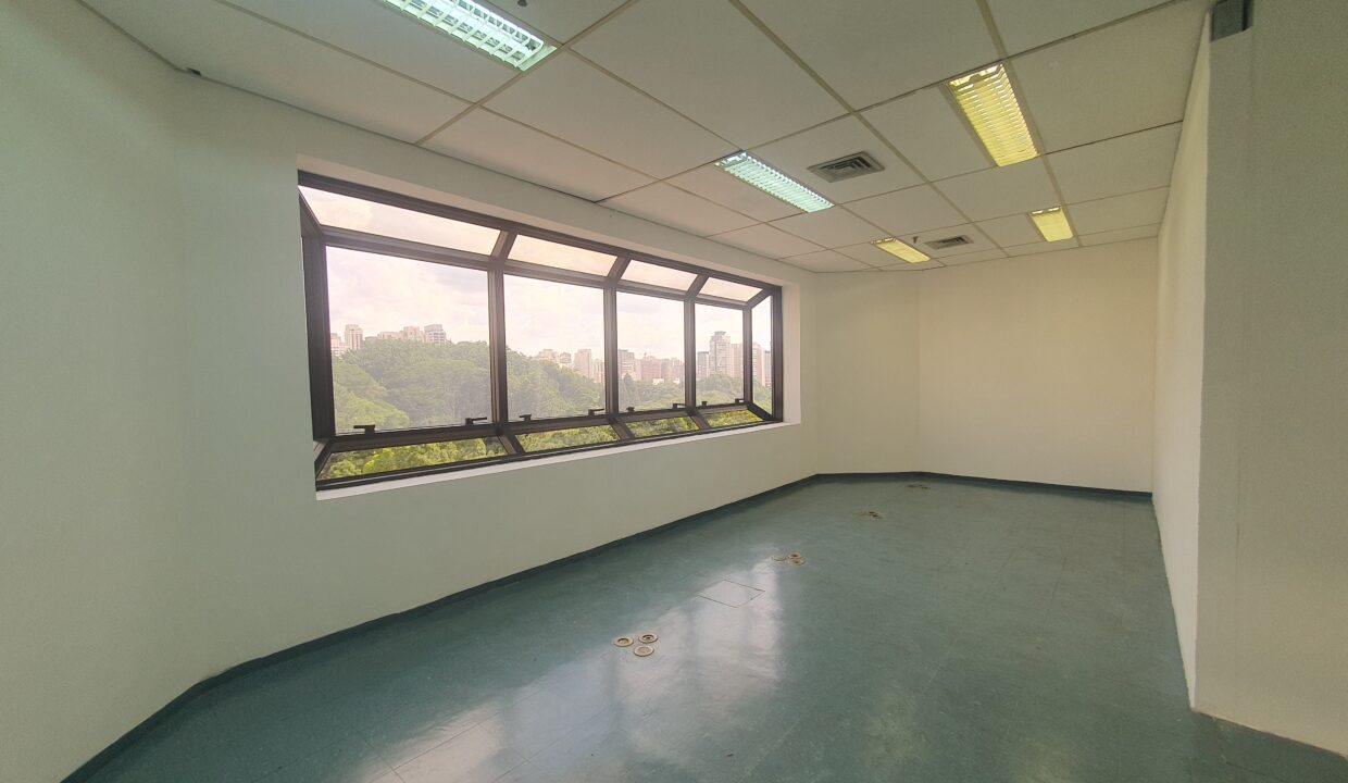SALA PRINCIPAL (8)