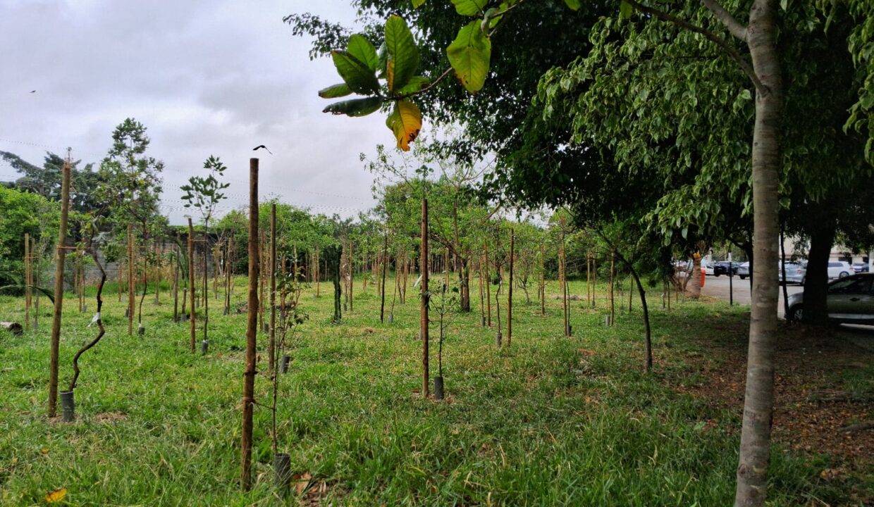 WhatsApp Image 2025-12-19 at 10.05.40