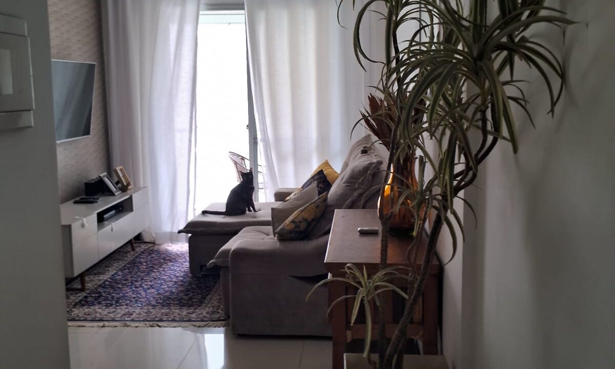 WhatsApp Image 2025-12-19 at 10.05.40 (2)