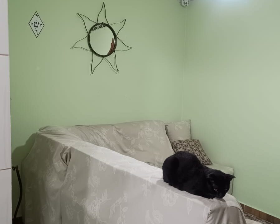 WhatsApp Image 2026-02-13 at 19.14.23 (2)