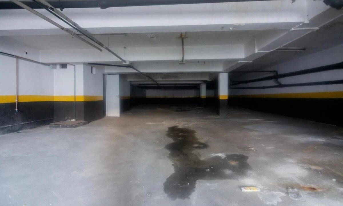 WhatsApp Image 2026-03-04 at 17.20.39