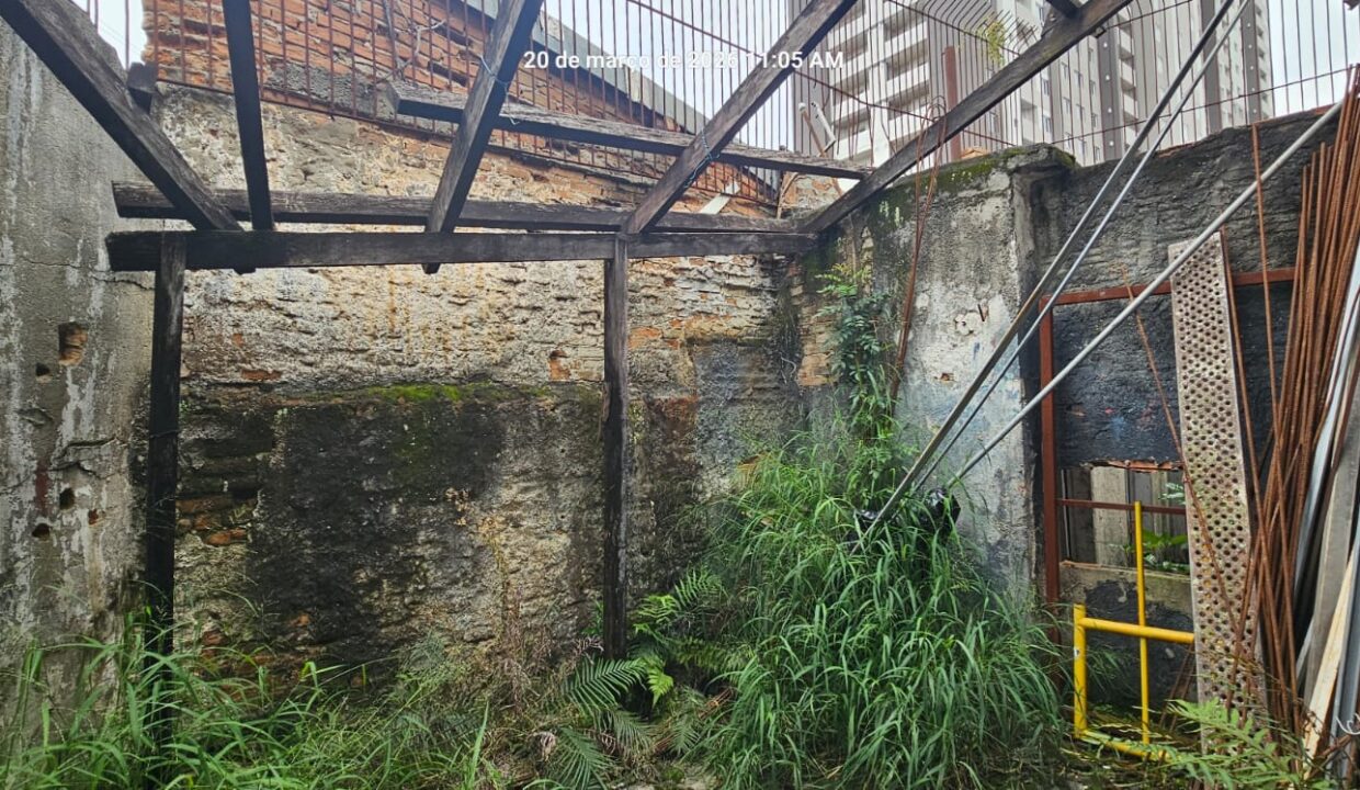 WhatsApp Image 2026-03-22 at 06.09.39 (1)