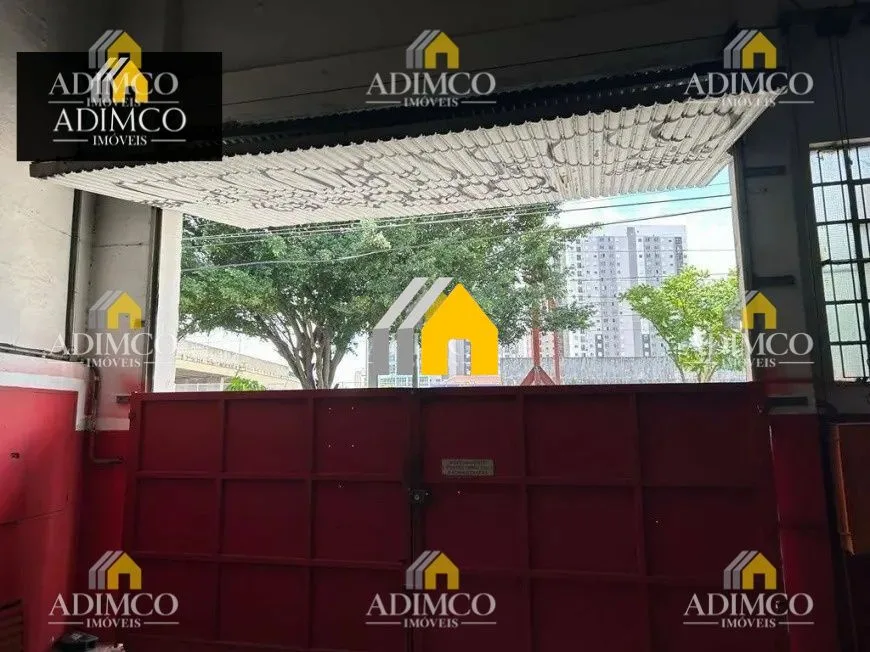 Aluga Galpão no Belenzinho – Zona Leste: foto 11 de 14