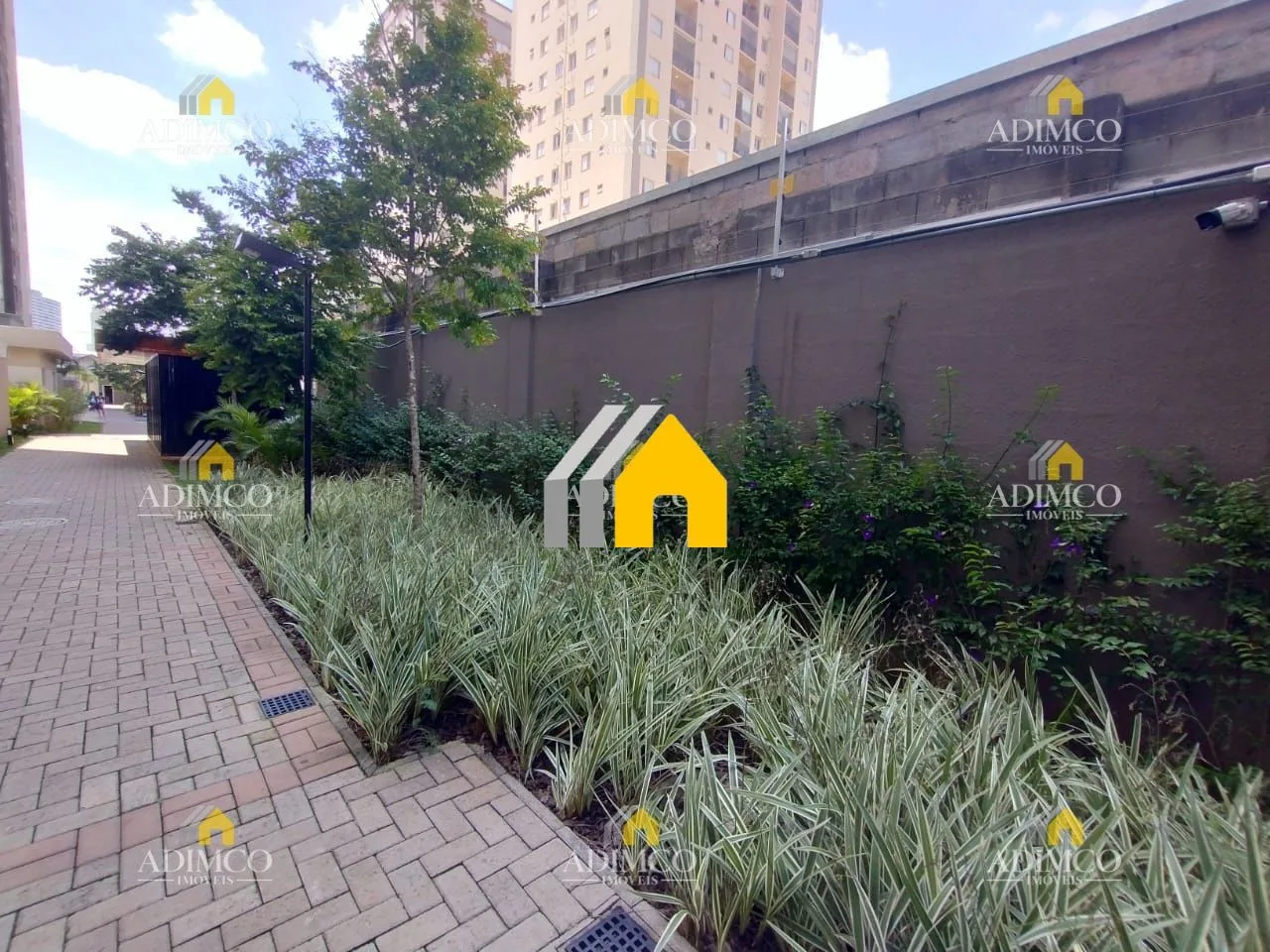 Vende ou Aluga Apto no Belém: foto 16 de 29